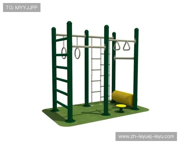 预算分级制健身器材采购清单及替代方案